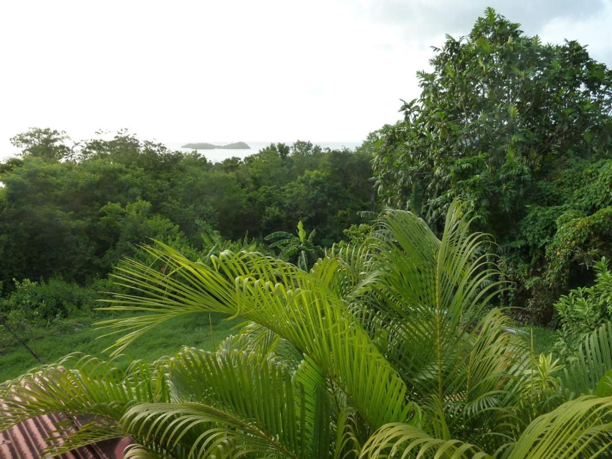 Malendure Bay Appartements Bouillante Luaran gambar